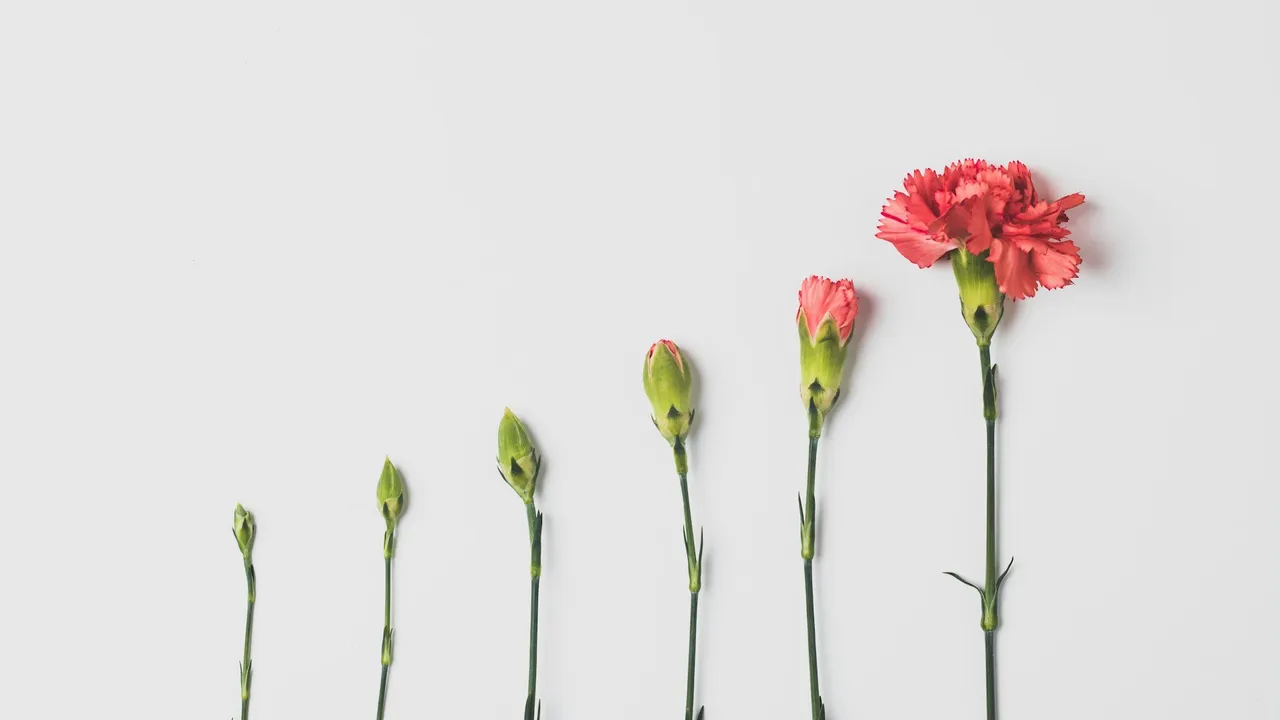 Growth